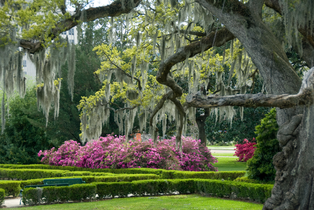 Lakeside Daiquiri & Grill menu 4